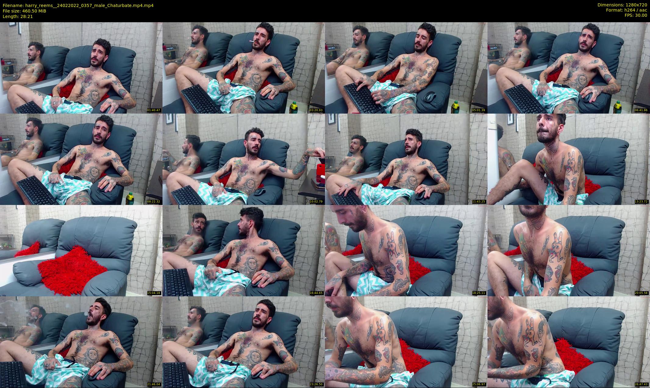harry_reems_ — 29 minute Chaturbate male cam show recording, 720p, Feb 24, 2022