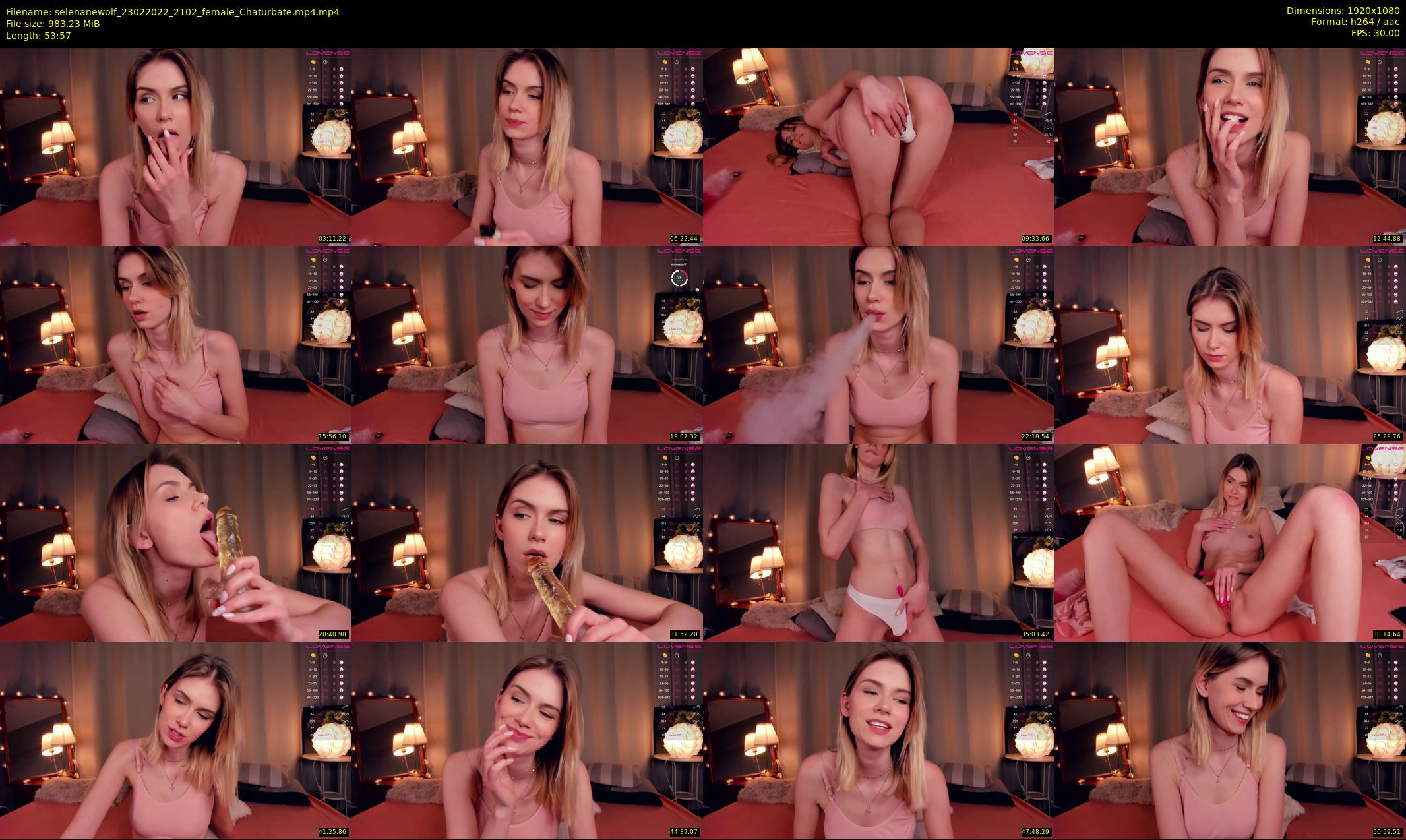 selenanewolf — 54 minute Chaturbate couple cam show recording, 1080p, Feb 23, 2022