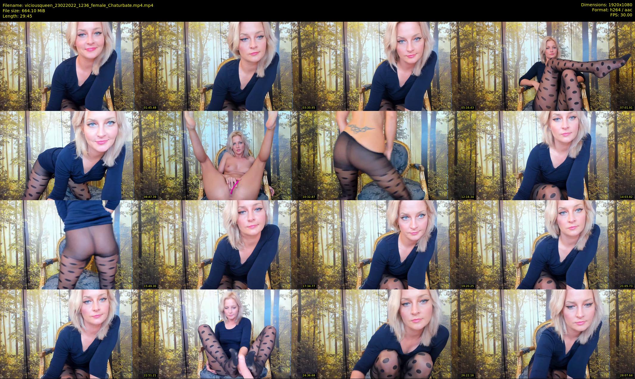 viciousqueen — 30 minute Chaturbate female cam show recording, 1080p, Feb 23, 2022