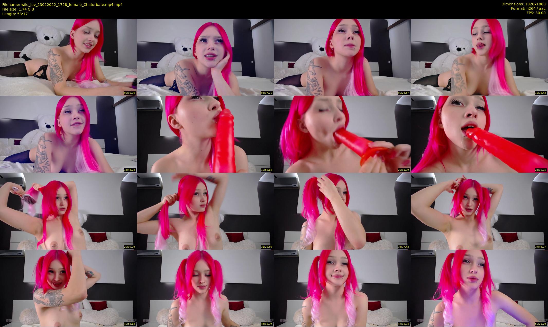 wild_lov — 54 minute Chaturbate female cam show recording, 1080p, Feb 23, 2022