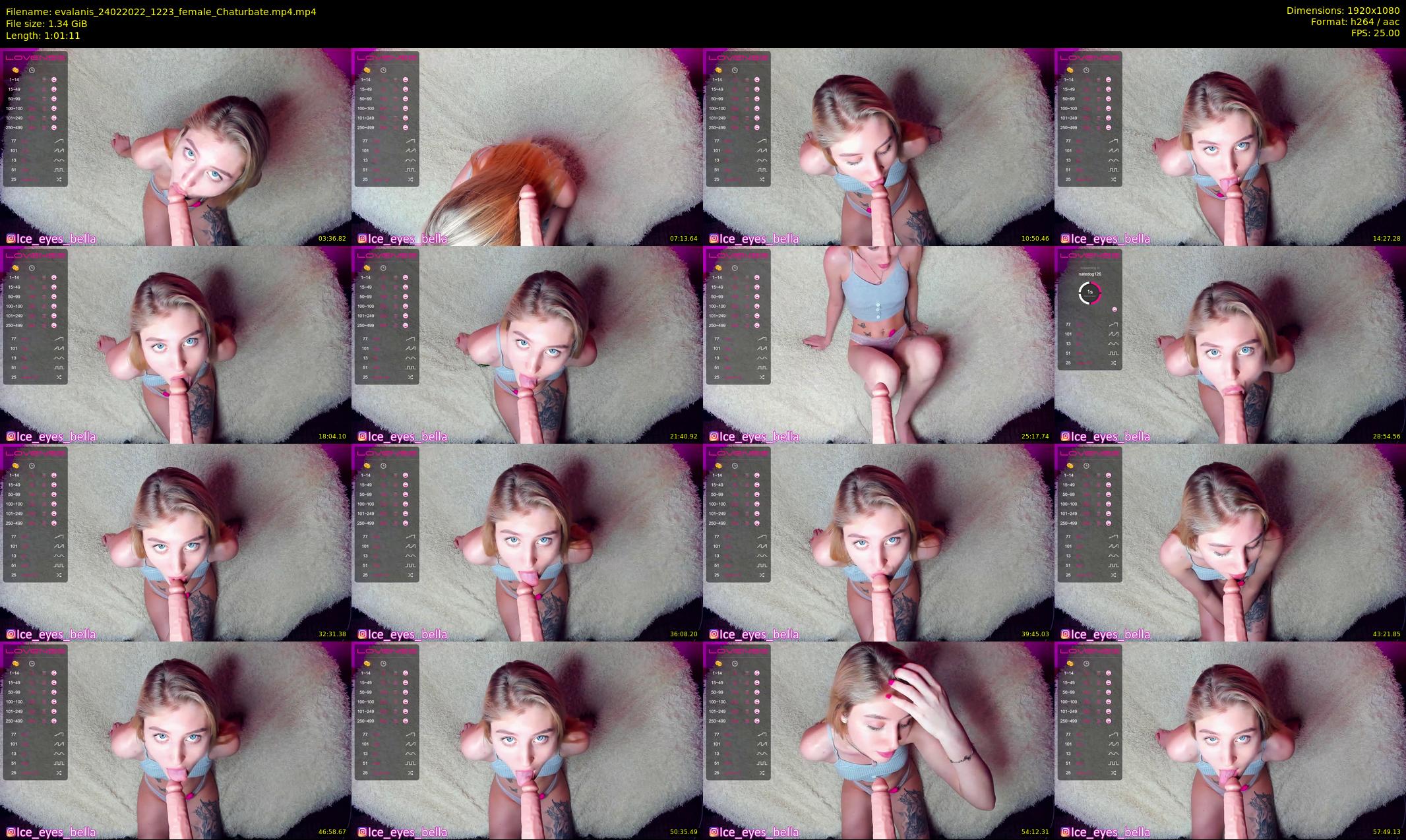 evalanis — 62 minute Chaturbate couple cam show recording, 1080p, Feb 24, 2022