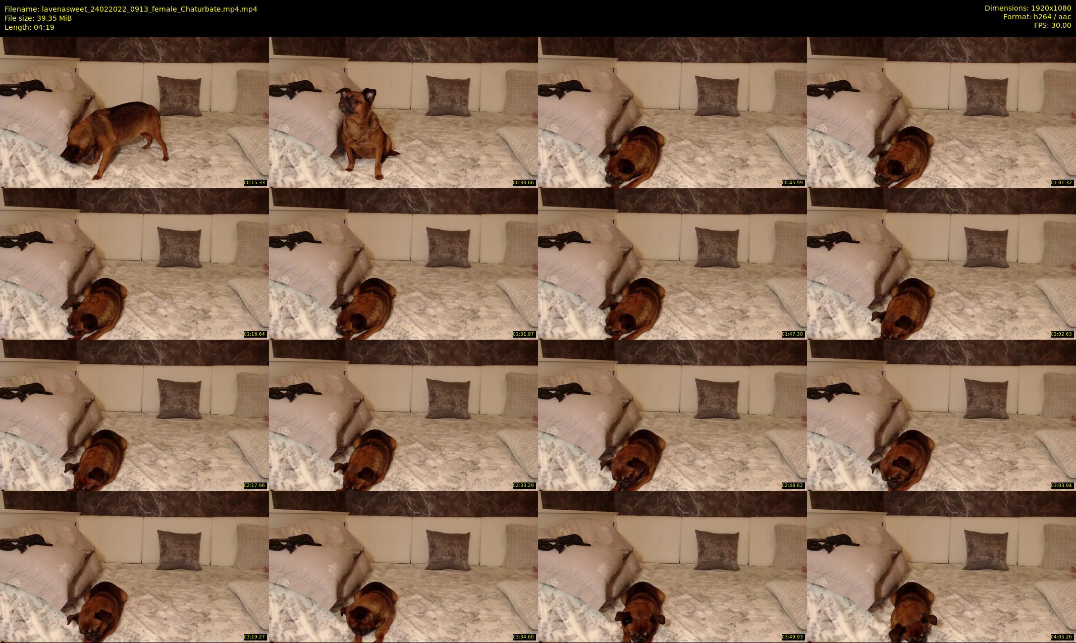 lavenasweet — 5 minute Chaturbate female cam show recording, 1080p, Feb 24, 2022