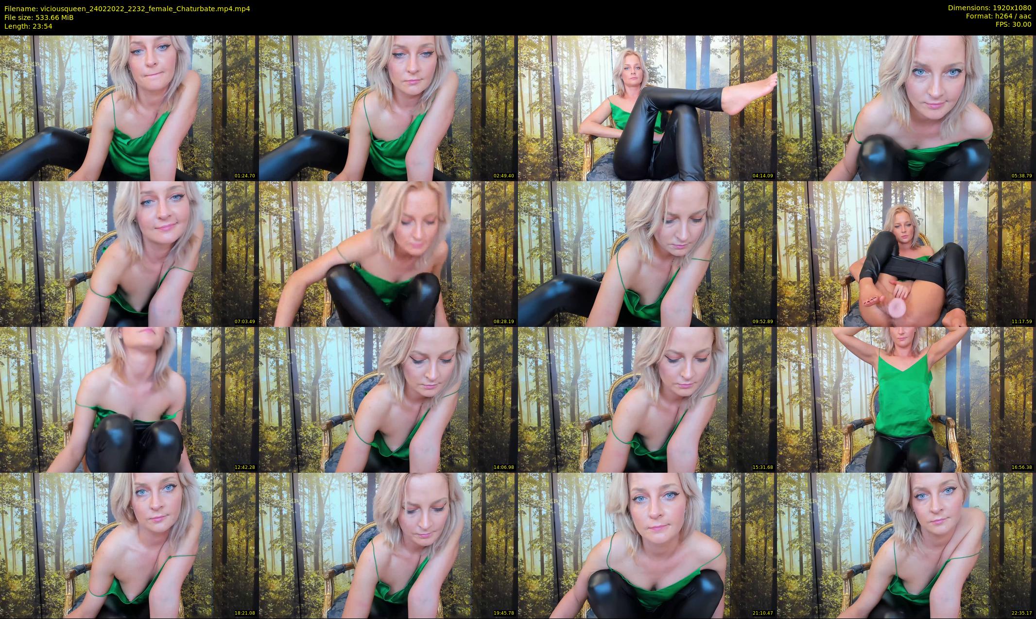 viciousqueen — 24 minute Chaturbate female cam show recording, 1080p, Feb 24, 2022