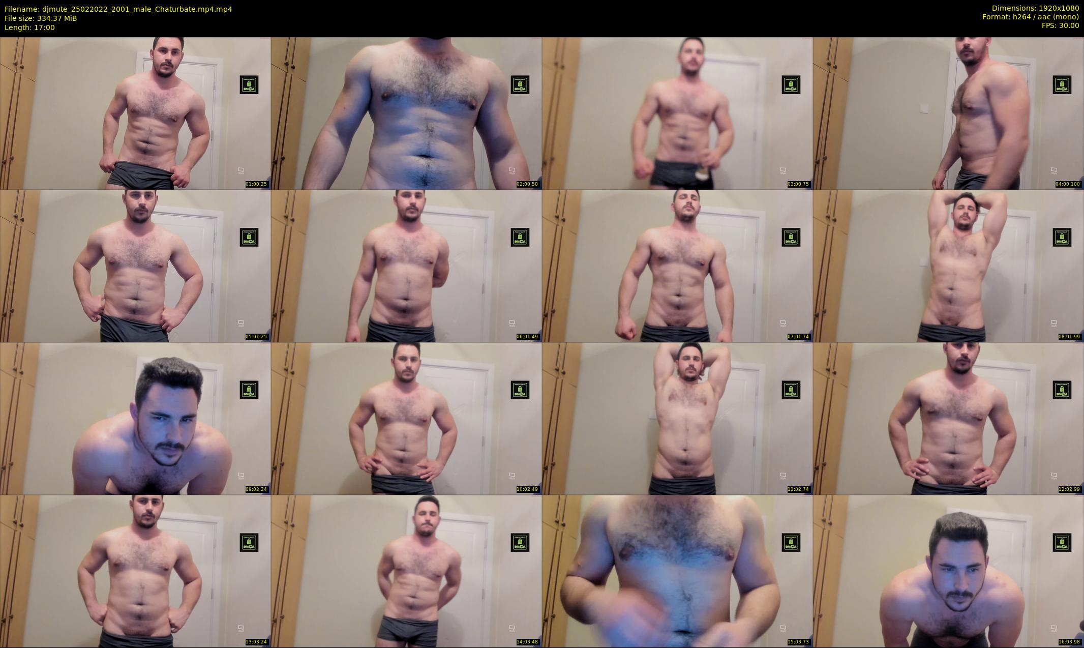 djmute — 17 minute Chaturbate male cam show recording, 1080p, Feb 25, 2022