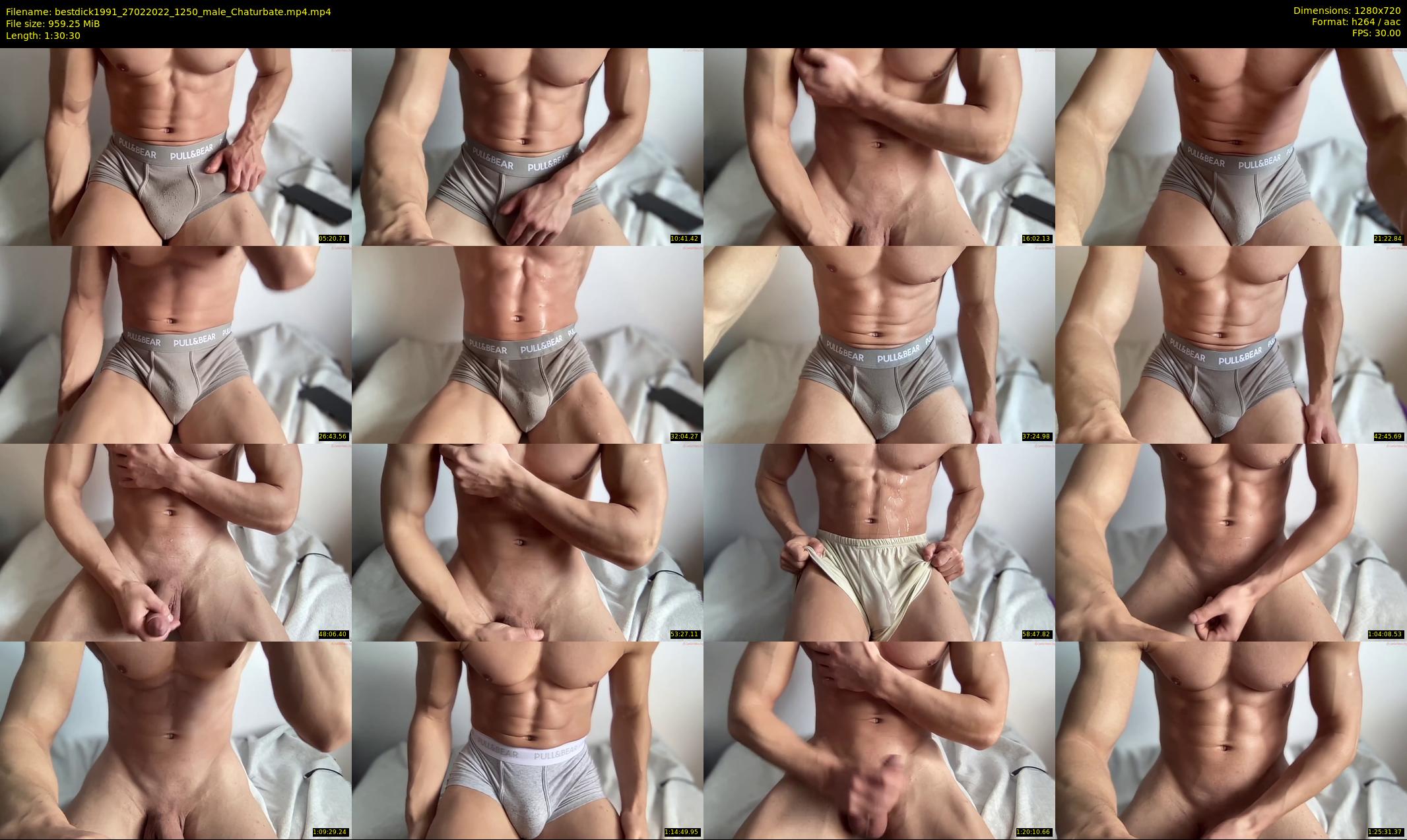 bestdick1991 — 91 minute Chaturbate male cam show recording, 720p, Feb 27, 2022