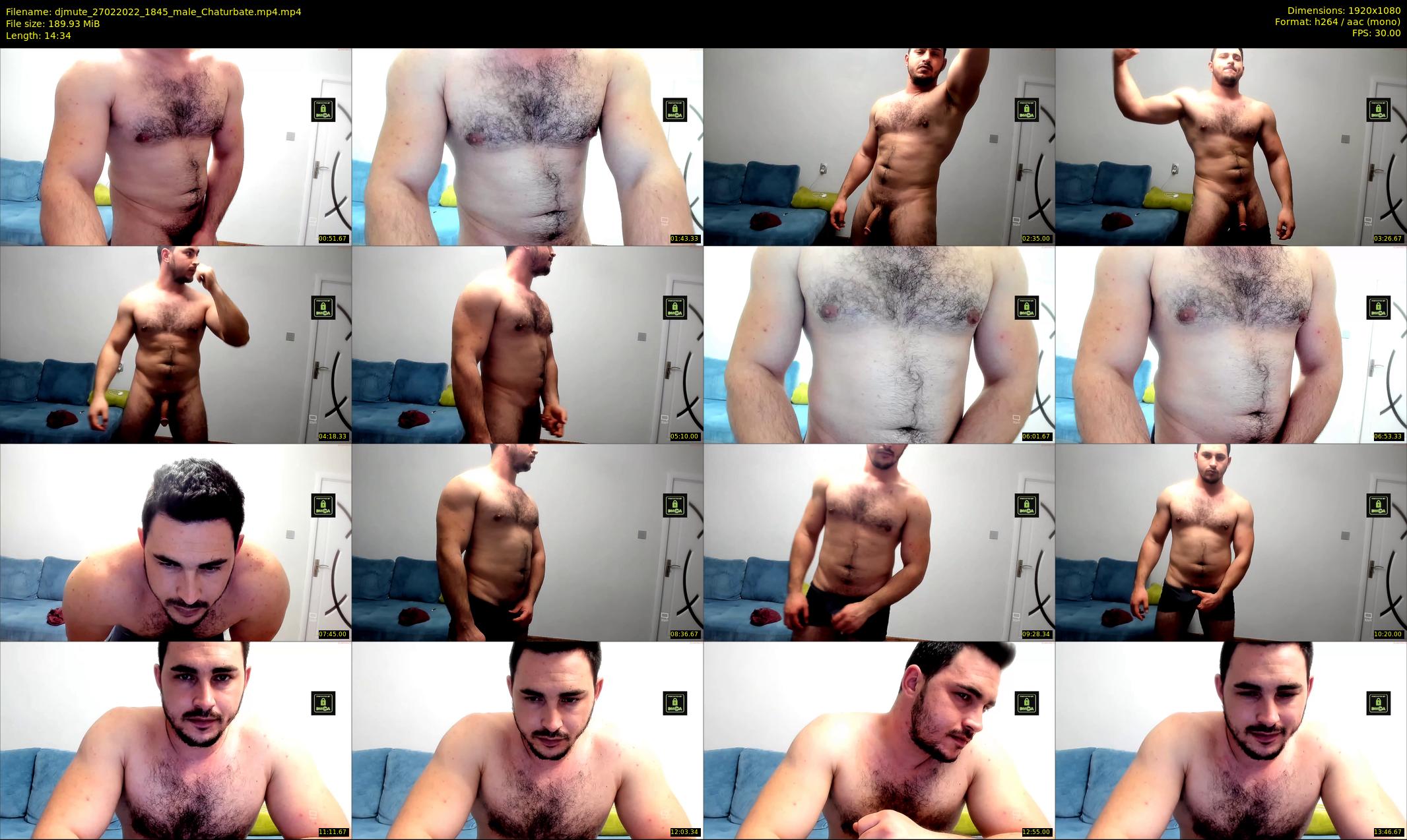 djmute — 15 minute Chaturbate male cam show recording, 1080p, Feb 27, 2022