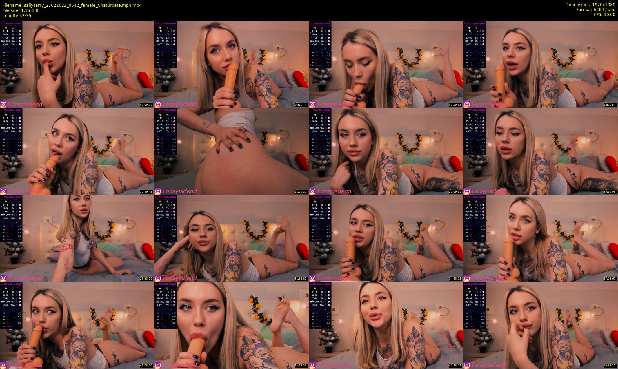 sallysarry — 54 minute Chaturbate couple cam show recording, 1080p, Feb 27, 2022