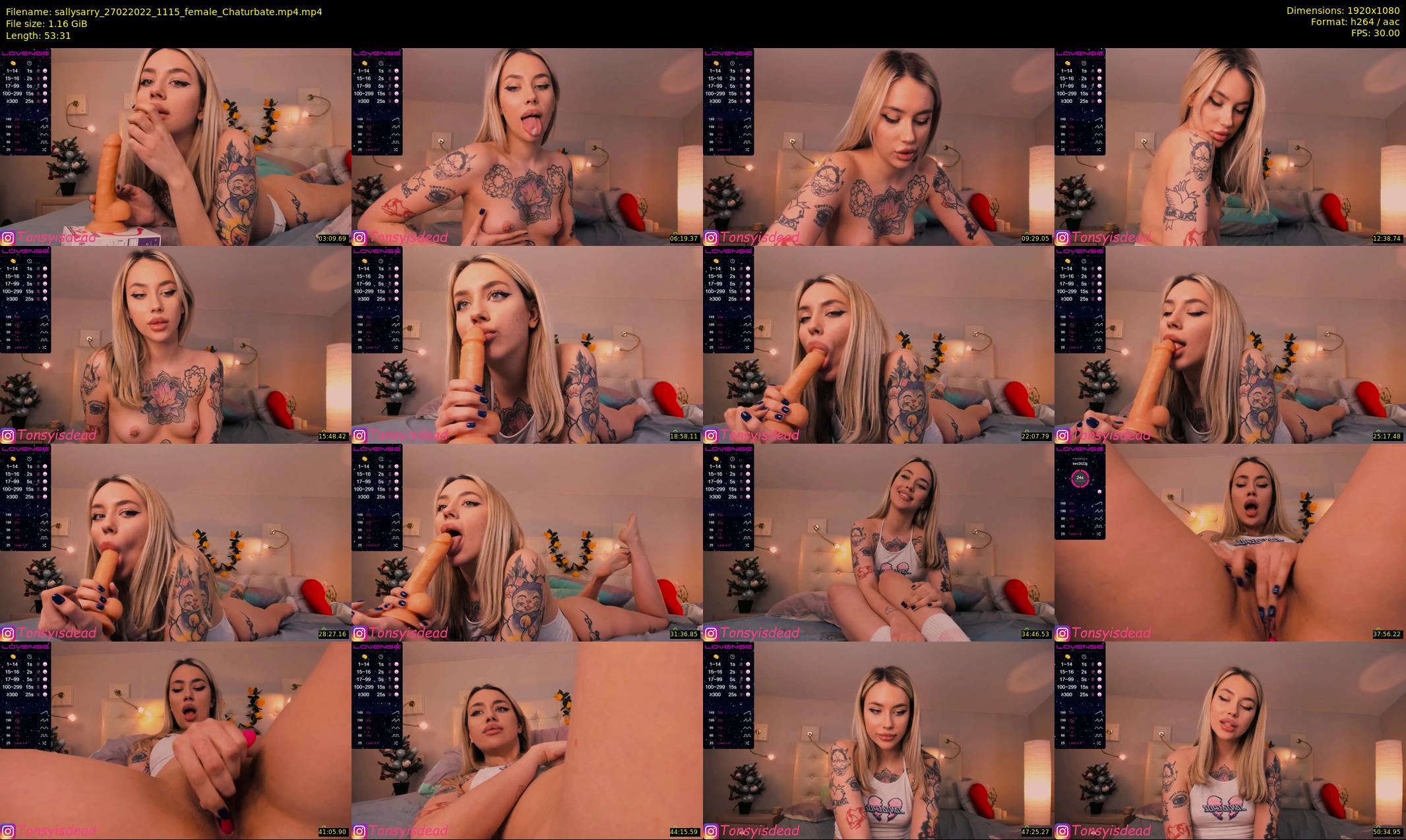 sallysarry — 54 minute Chaturbate couple cam show recording, 1080p, Feb 27, 2022