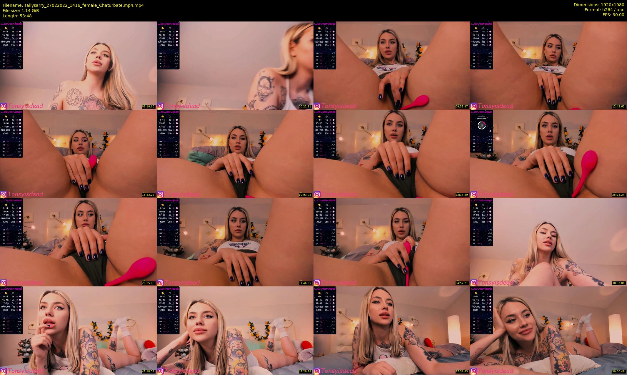 sallysarry — 54 minute Chaturbate couple cam show recording, 1080p, Feb 27, 2022
