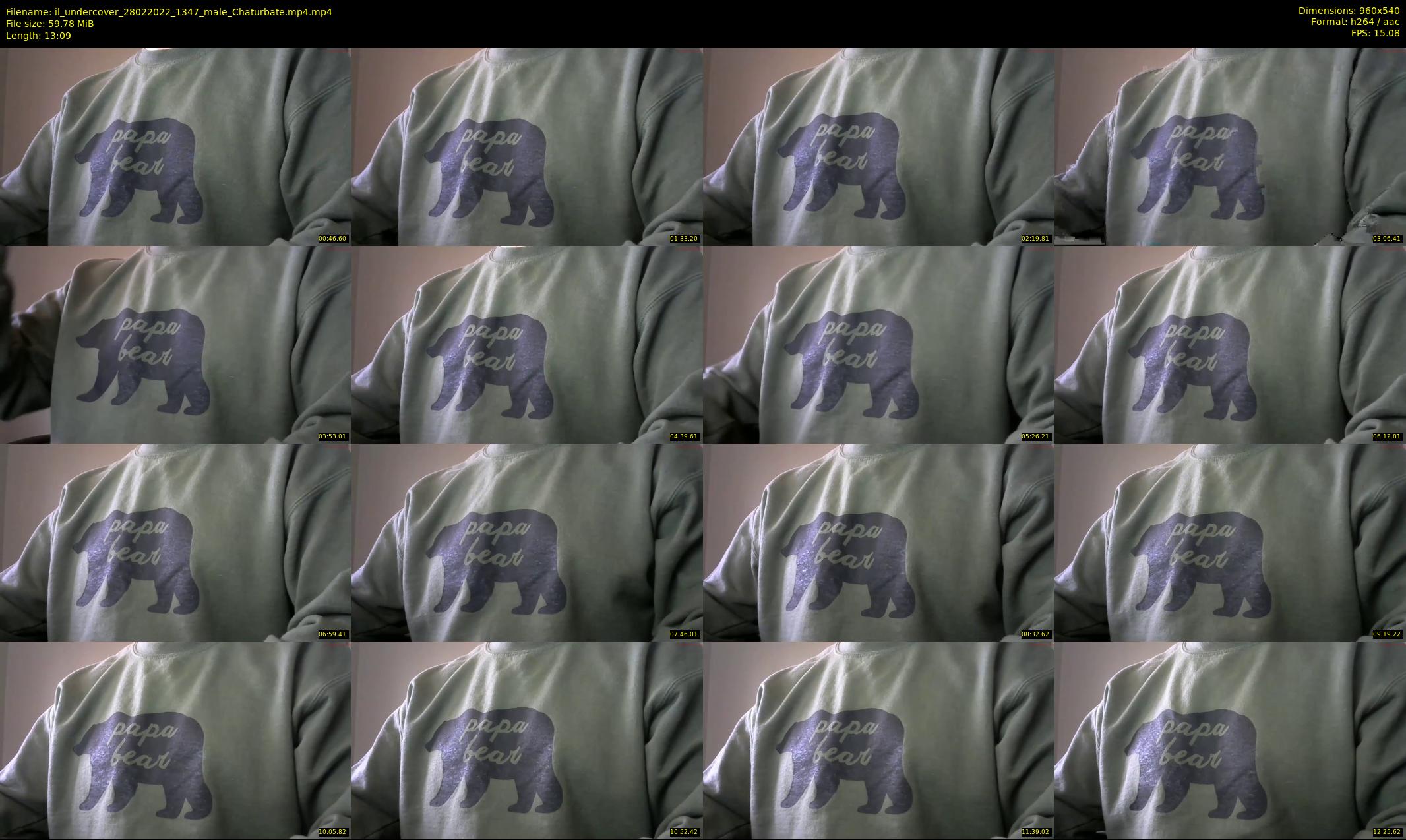 il_undercover — 14 minute Chaturbate male cam show recording, 480p, Feb 28, 2022
