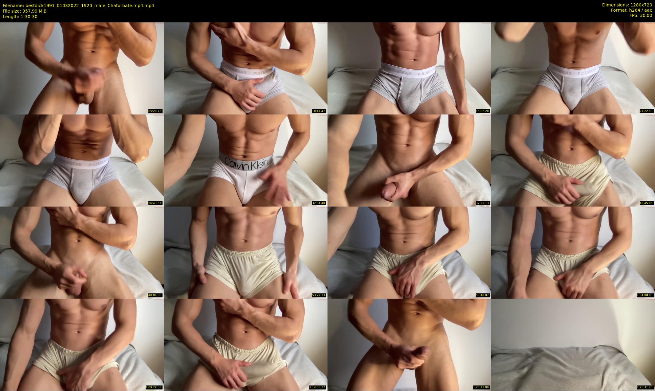 bestdick1991 — 91 minute Chaturbate male cam show recording, 720p, Mar 1, 2022