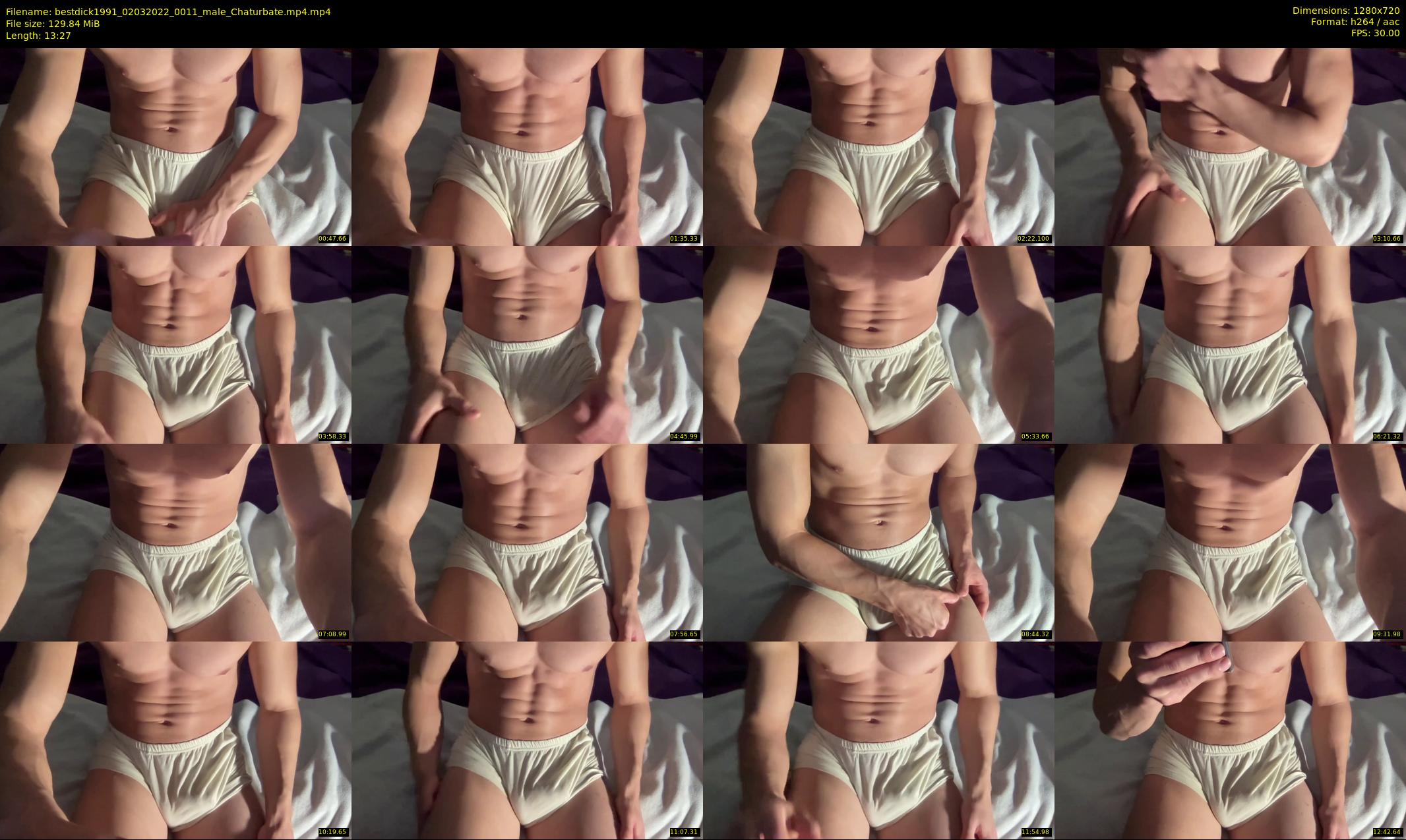 bestdick1991 — 14 minute Chaturbate male cam show recording, 720p, Mar 2, 2022