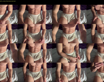 bestdick1991 — 14 minute Chaturbate male cam show recording, 720p, Mar 2, 2022