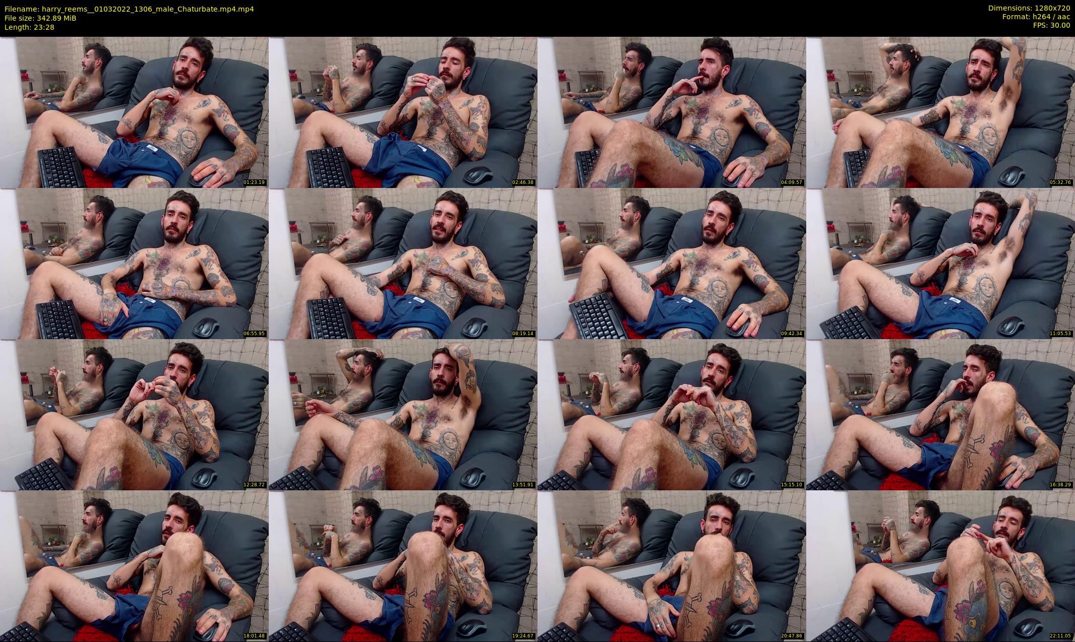 harry_reems_ — 24 minute Chaturbate male cam show recording, 720p, Mar 1, 2022