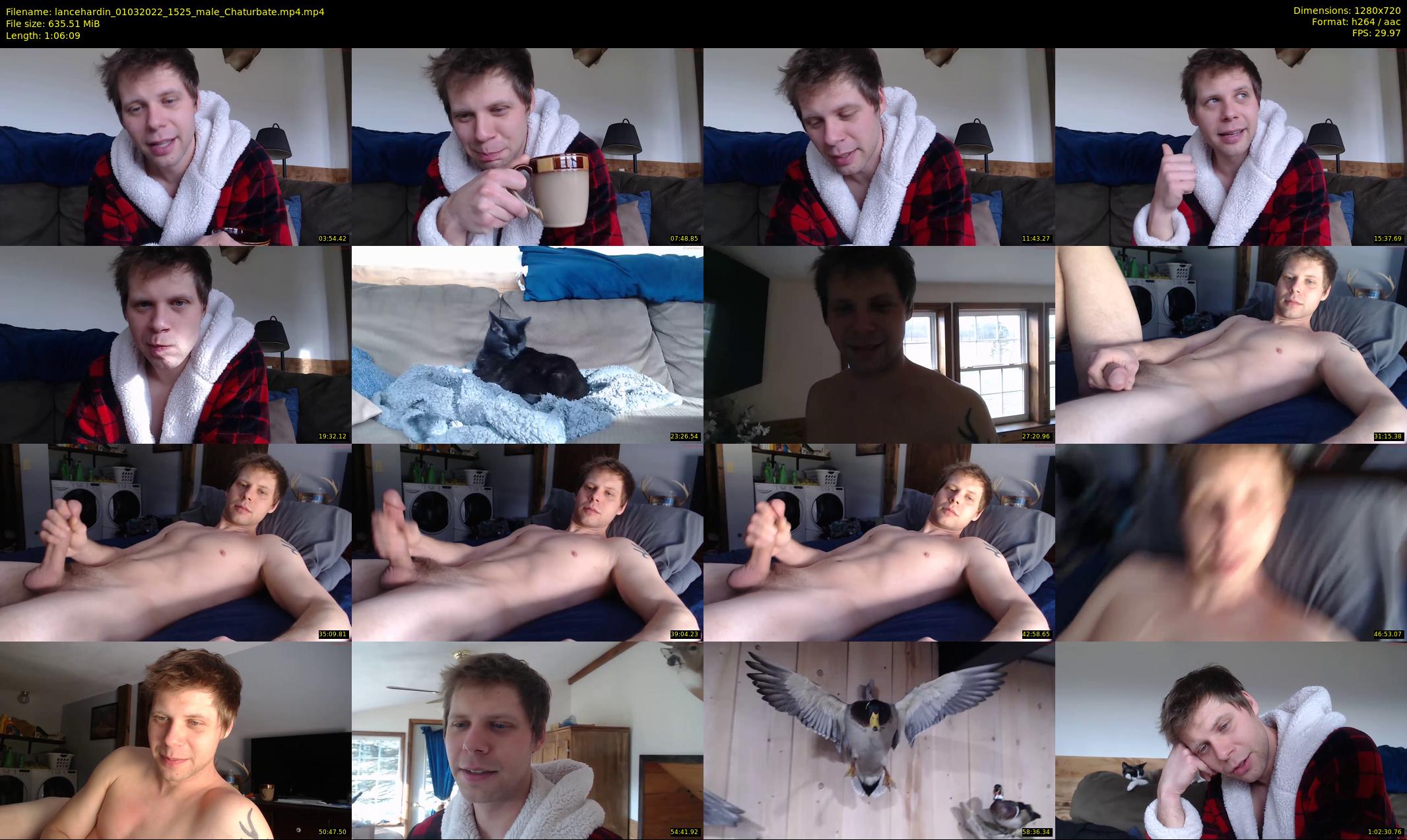 lancehardin — 67 minute Chaturbate male cam show recording, 720p, Mar 1, 2022