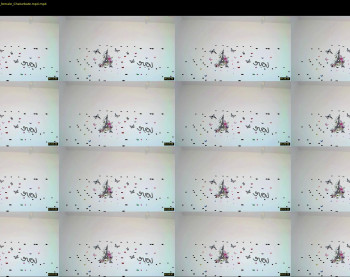 kimisun — 4 minute Chaturbate female cam show recording, 720p, Mar 2, 2022