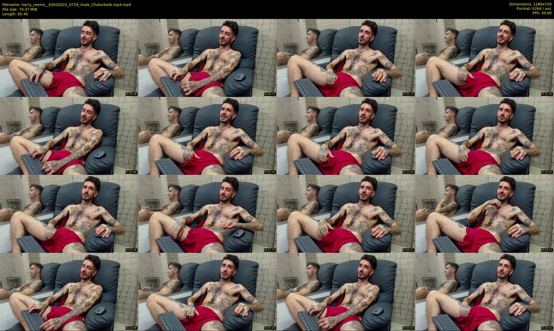 harry_reems_ — 6 minute Chaturbate male cam show recording, 720p, Mar 3, 2022