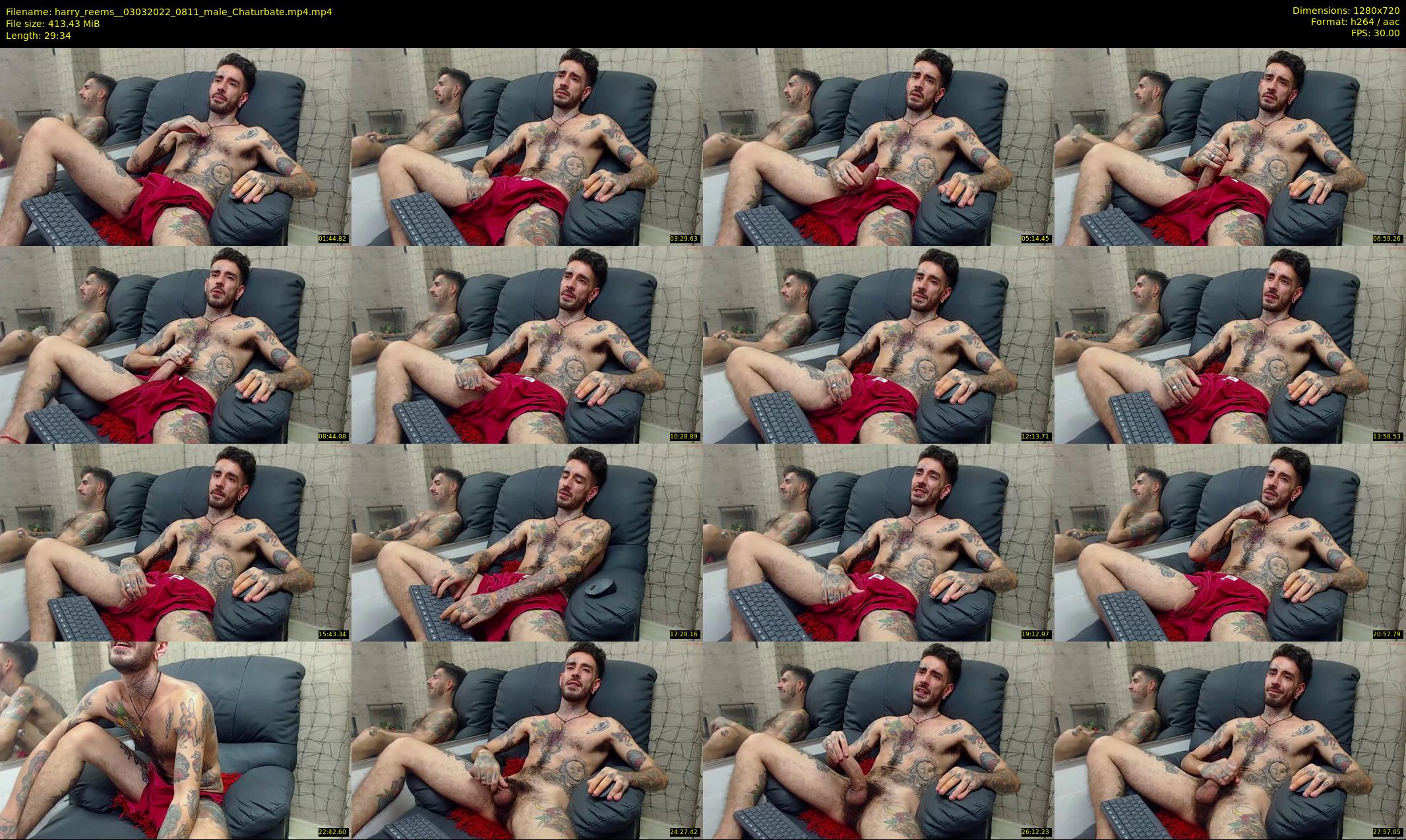 harry_reems_ — 30 minute Chaturbate male cam show recording, 720p, Mar 3, 2022