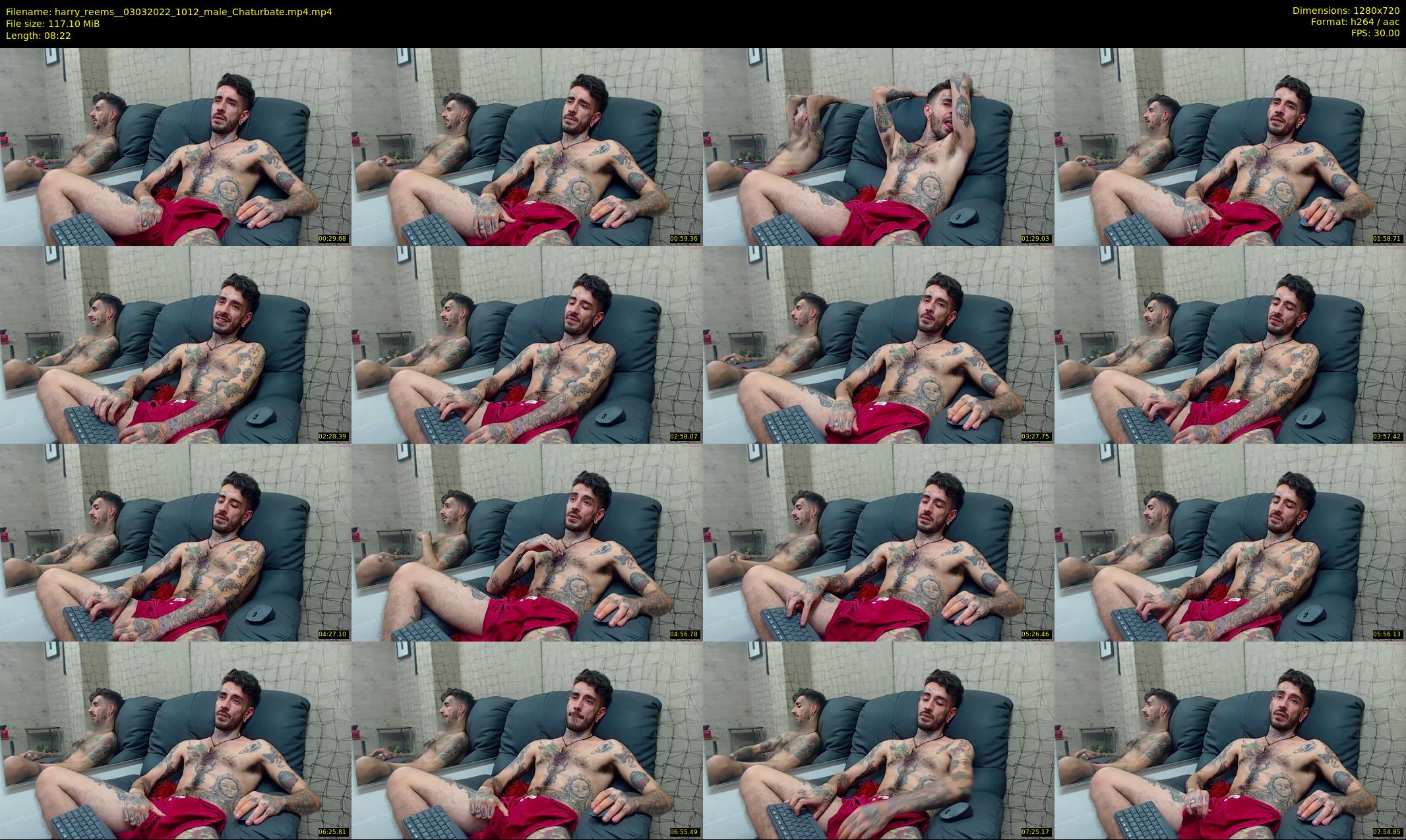 harry_reems_ — 9 minute Chaturbate male cam show recording, 720p, Mar 3, 2022