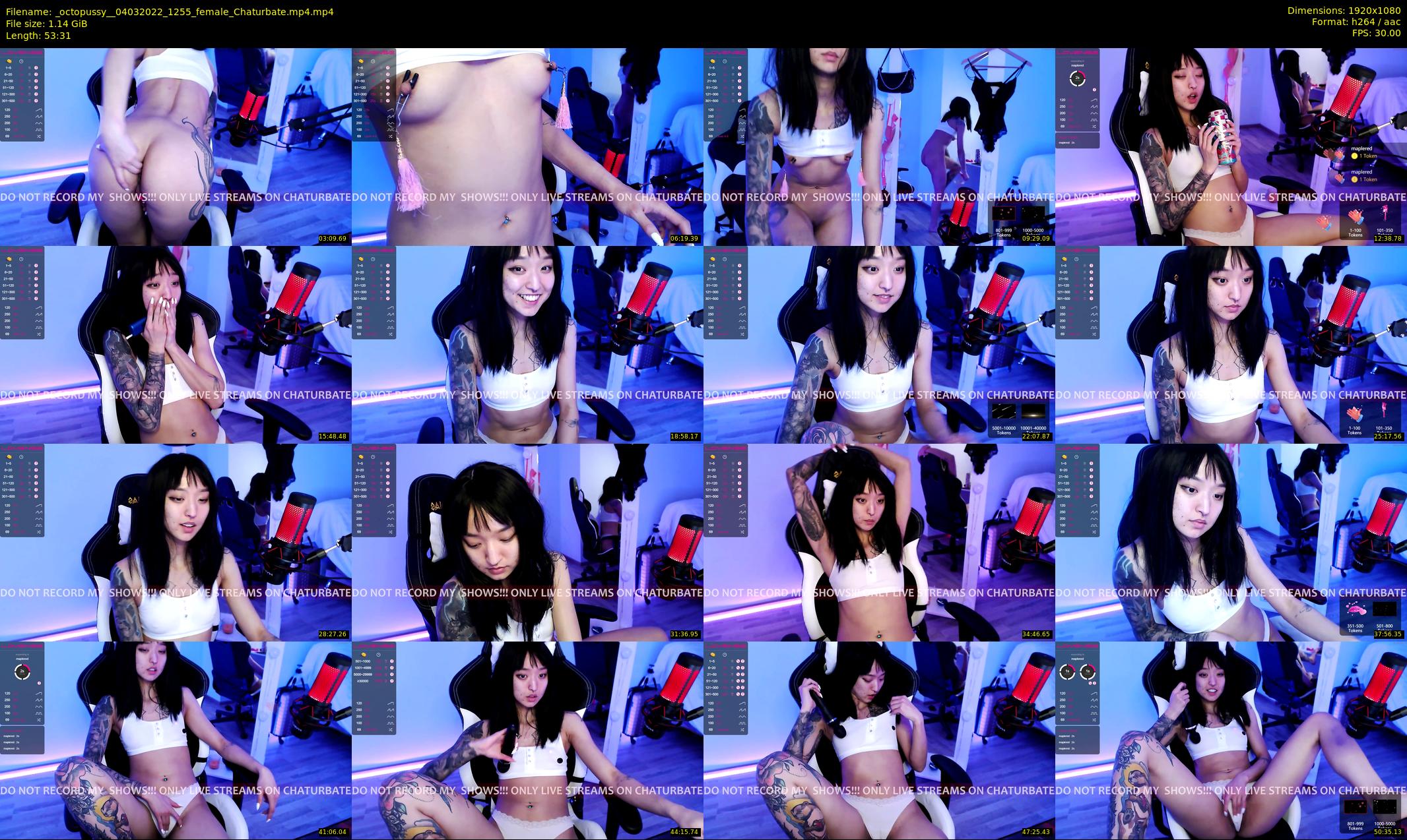 _octopussy_ — 54 minute Chaturbate female cam show recording, 1080p, Mar 4, 2022
