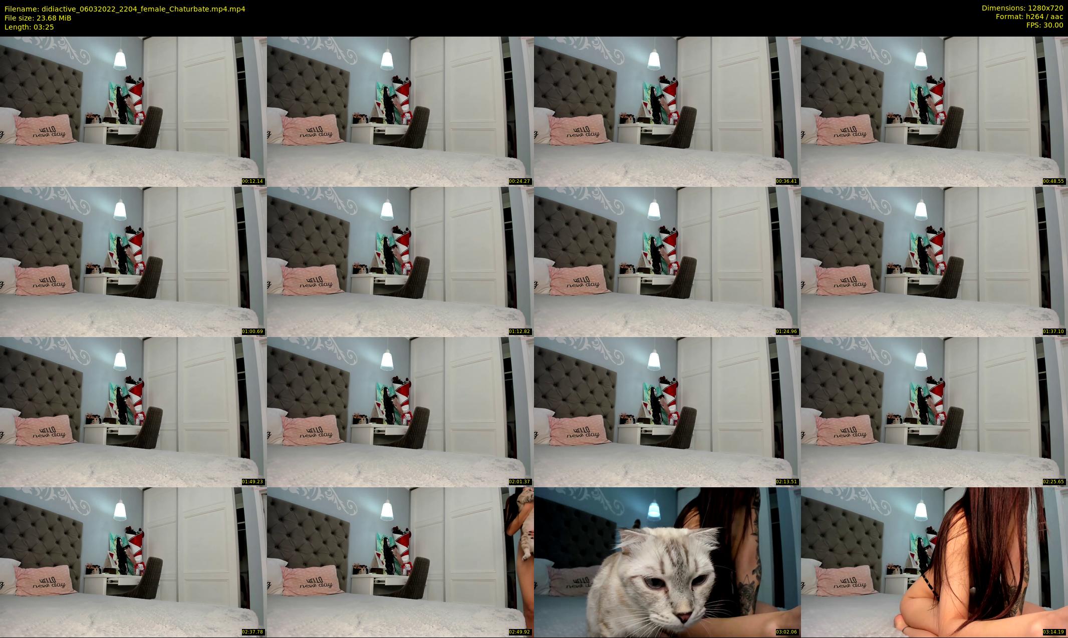 didiactive — 4 minute Chaturbate female cam show recording, 720p, Mar 6, 2022