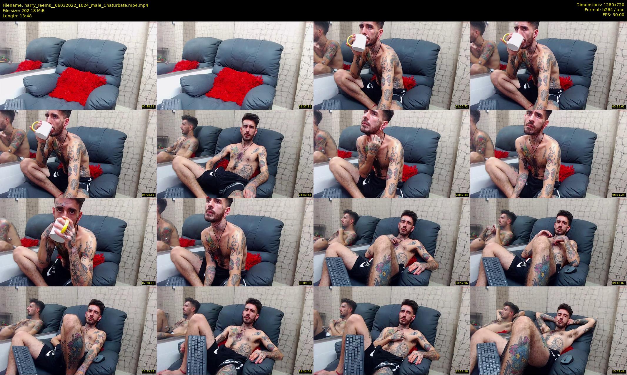 harry_reems_ — 14 minute Chaturbate male cam show recording, 720p, Mar 6, 2022