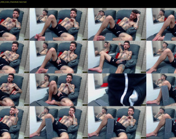 harry_reems_ — 30 minute Chaturbate male cam show recording, 720p, Mar 6, 2022