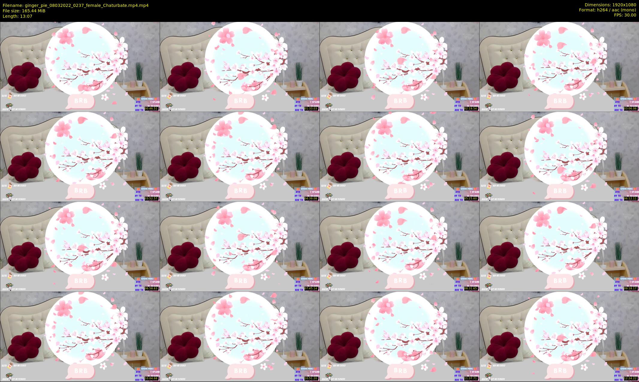 ginger_pie — 14 minute Chaturbate female cam show recording, 1080p, Mar 8, 2022