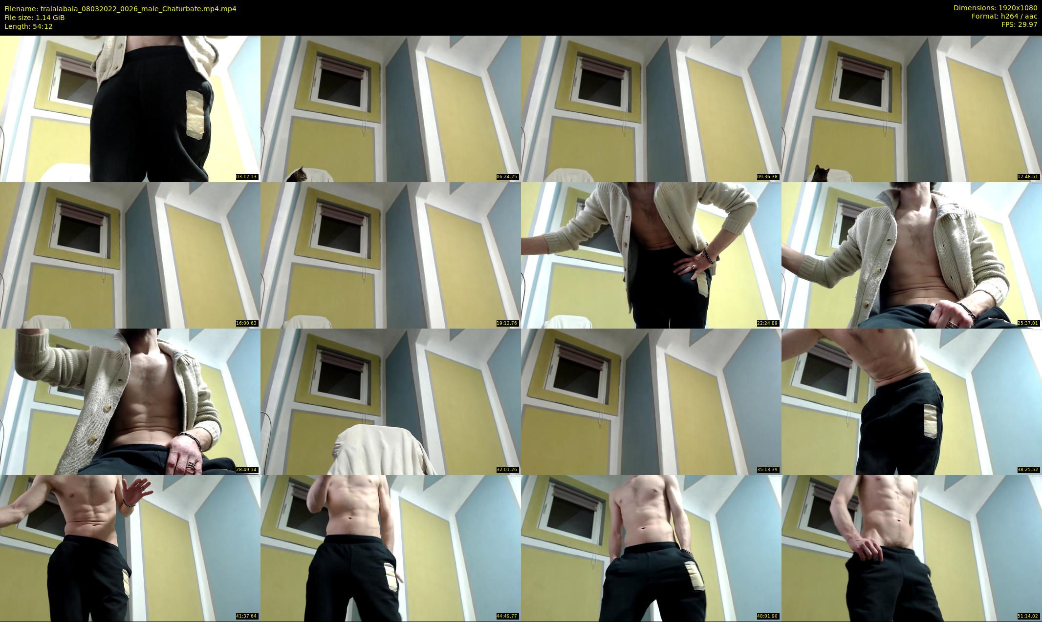 tralalabala — 55 minute Chaturbate male cam show recording, 1080p, Mar 8, 2022