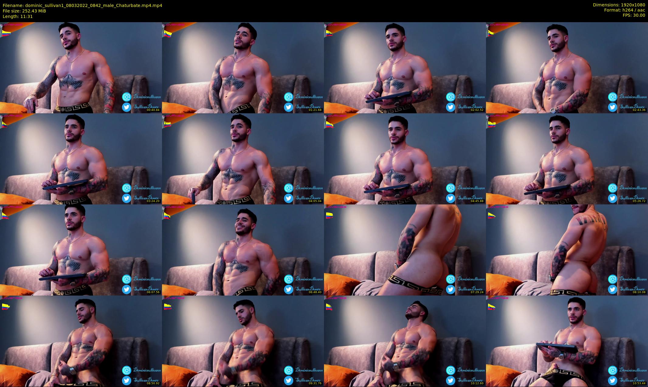 dominic_sullivan1 — 12 minute Chaturbate male cam show recording, 1080p, Mar 8, 2022