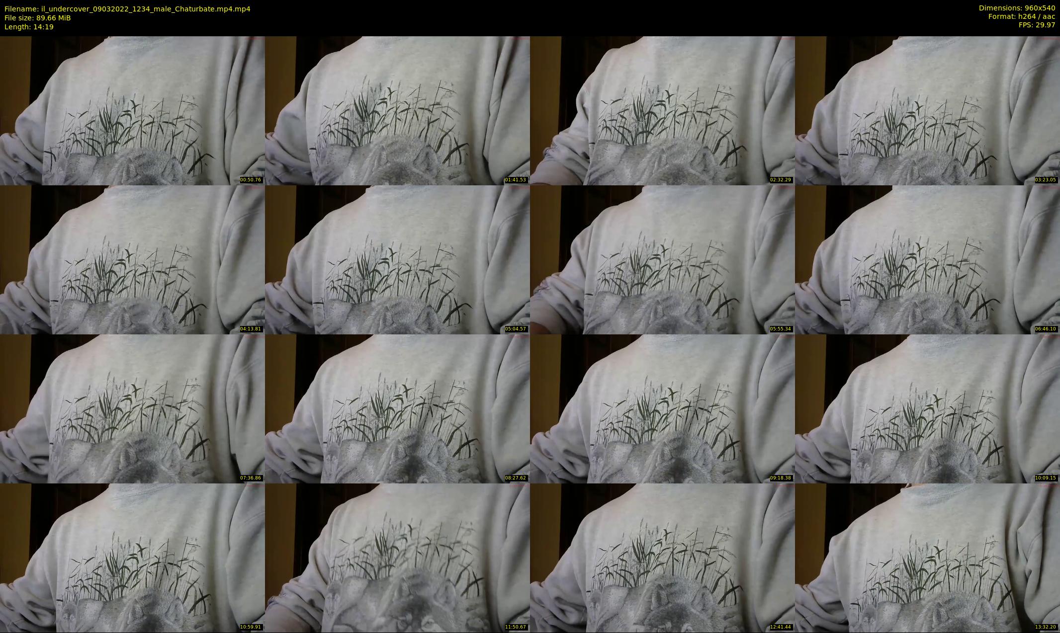 il_undercover — 15 minute Chaturbate male cam show recording, 480p, Mar 9, 2022