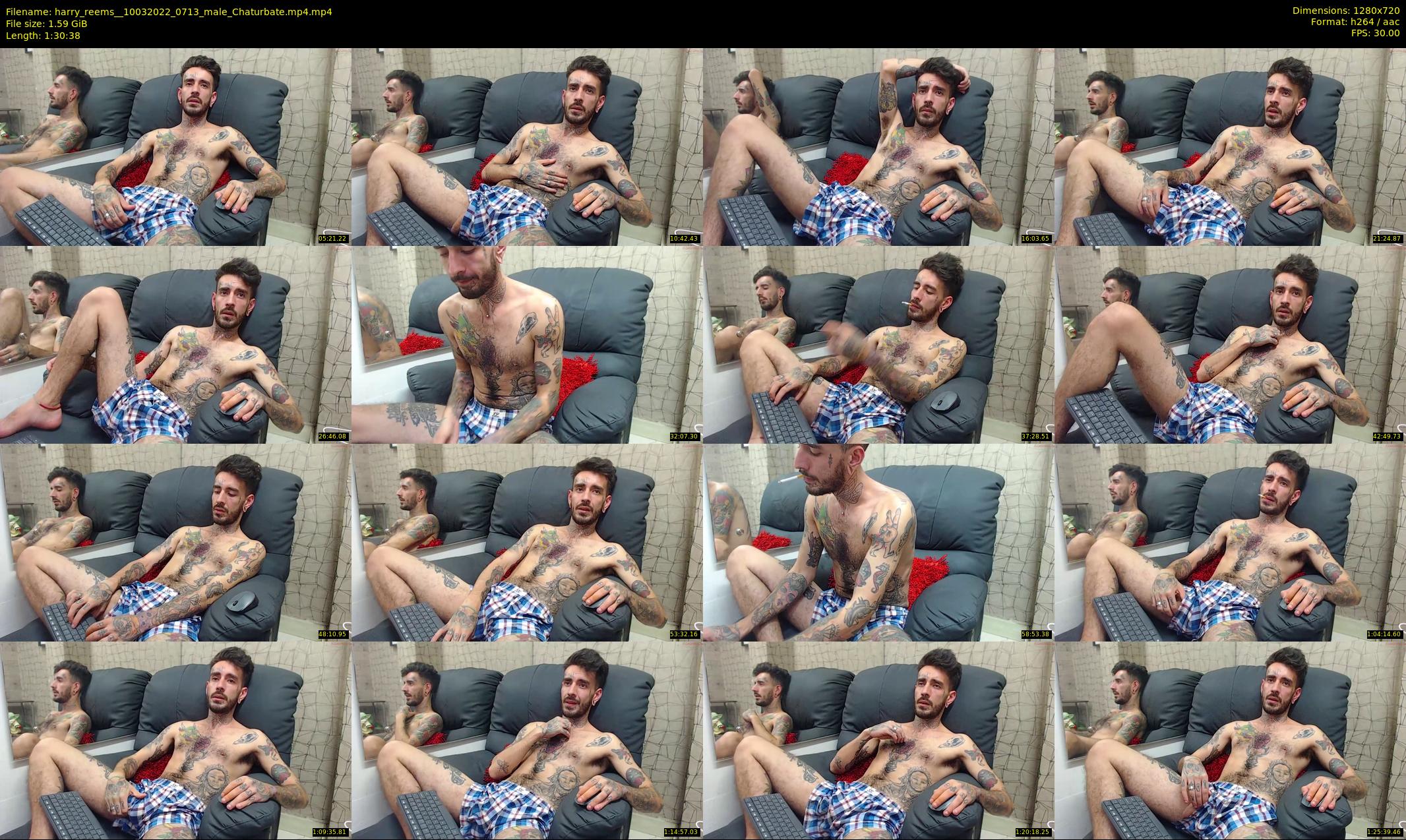 harry_reems_ — 91 minute Chaturbate male cam show recording, 720p, Mar 10, 2022