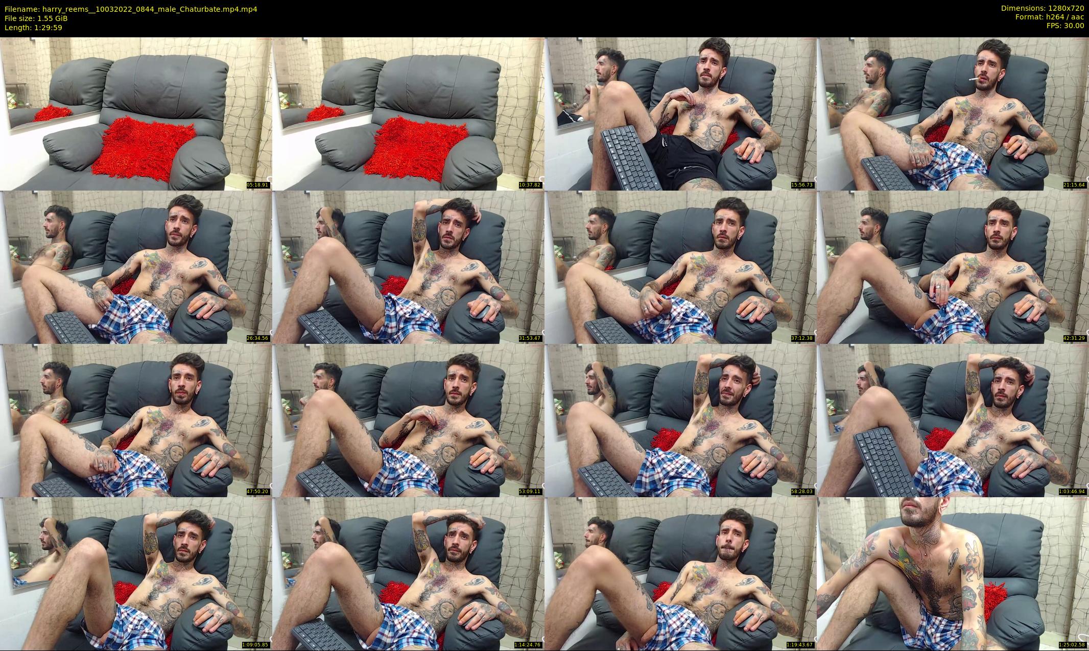 harry_reems_ — 90 minute Chaturbate male cam show recording, 720p, Mar 10, 2022