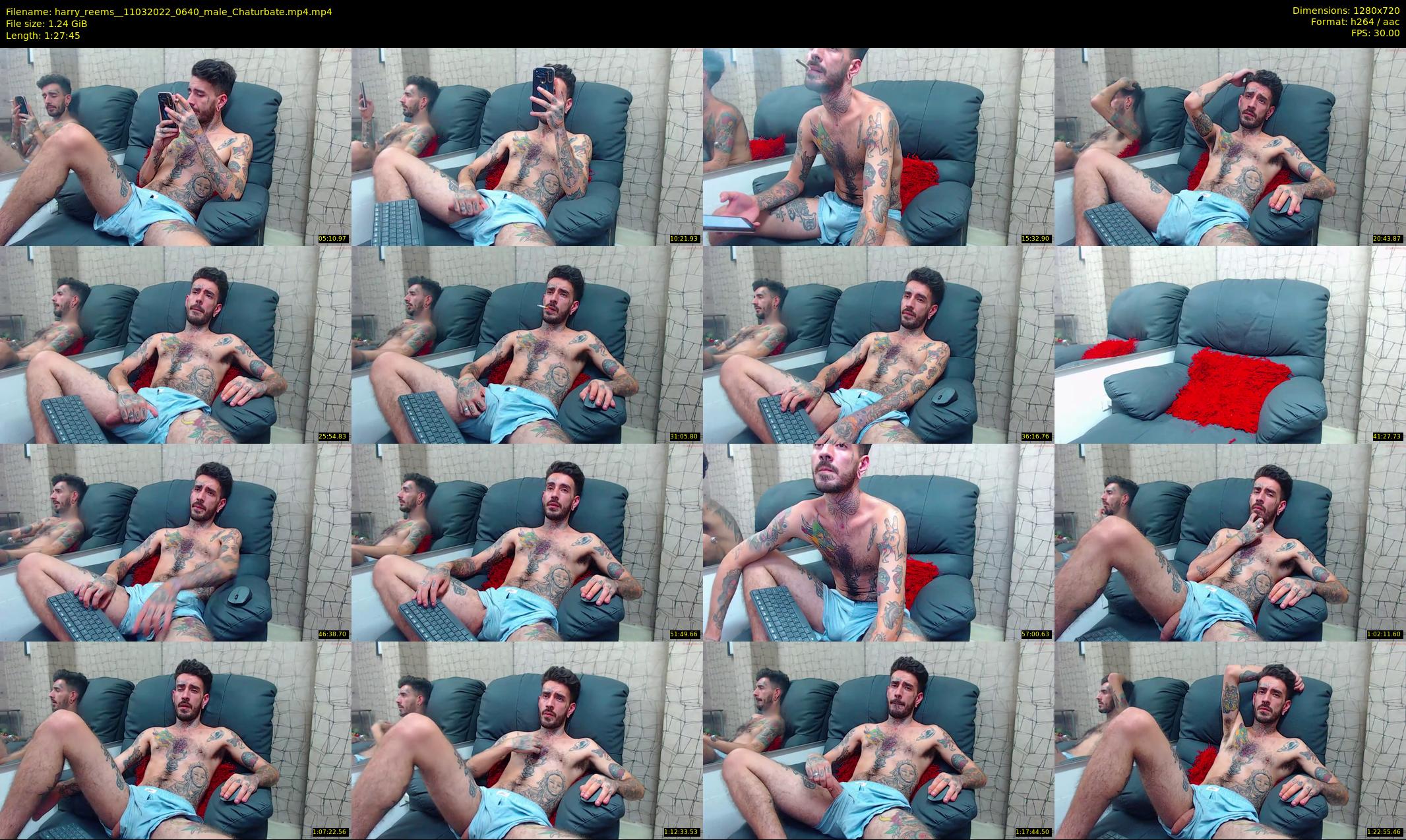 harry_reems_ — 88 minute Chaturbate male cam show recording, 720p, Mar 11, 2022