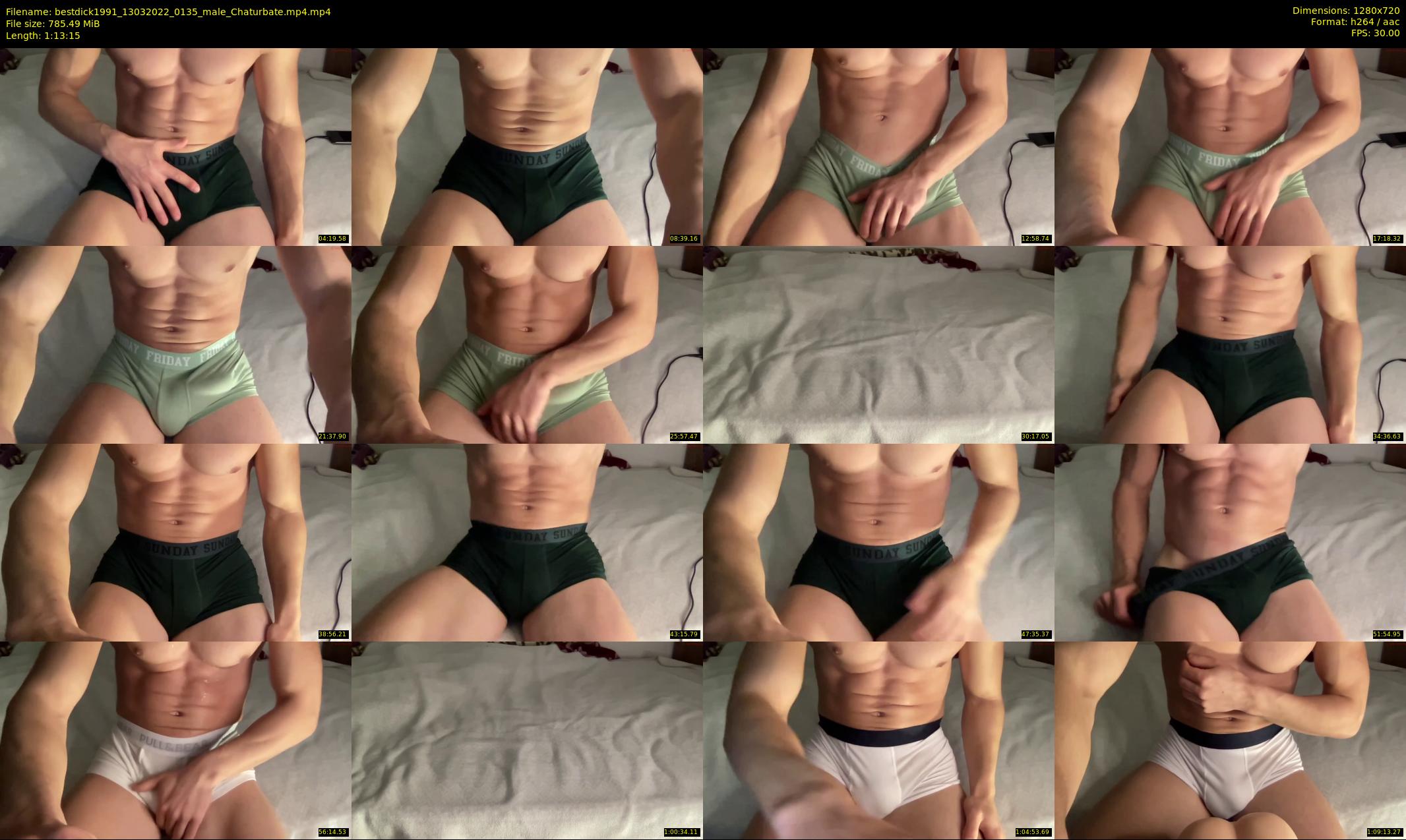 bestdick1991 — 74 minute Chaturbate male cam show recording, 720p, Mar 13, 2022