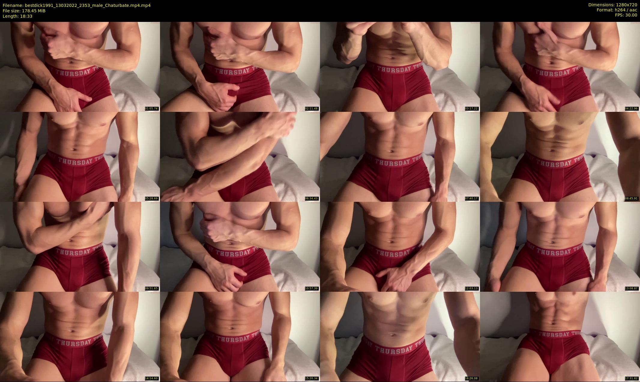 bestdick1991 — 19 minute Chaturbate male cam show recording, 720p, Mar 13, 2022