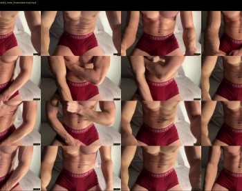 bestdick1991 — 15 minute Chaturbate male cam show recording, 720p, Mar 14, 2022