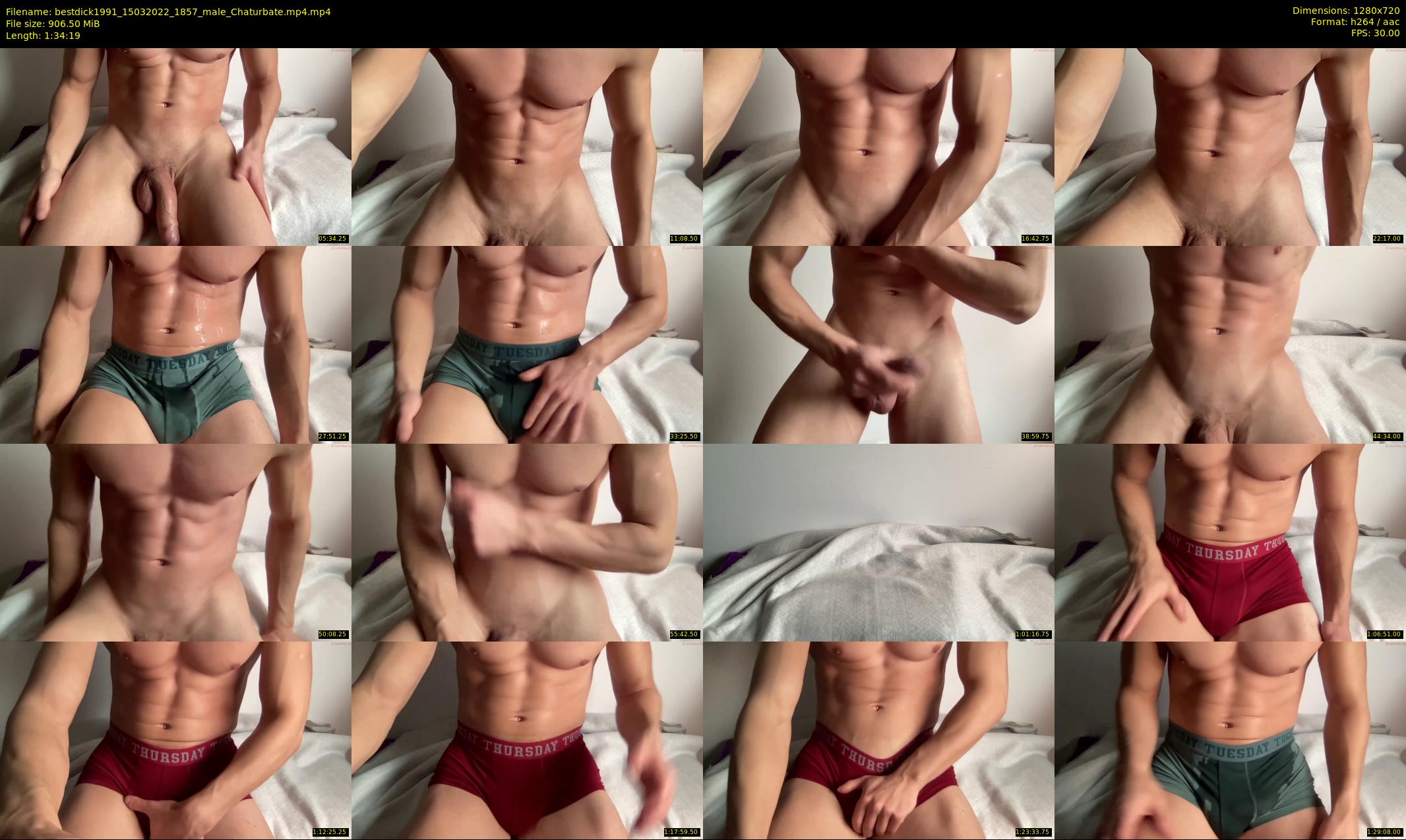 bestdick1991 — 95 minute Chaturbate male cam show recording, 720p, Mar 15, 2022
