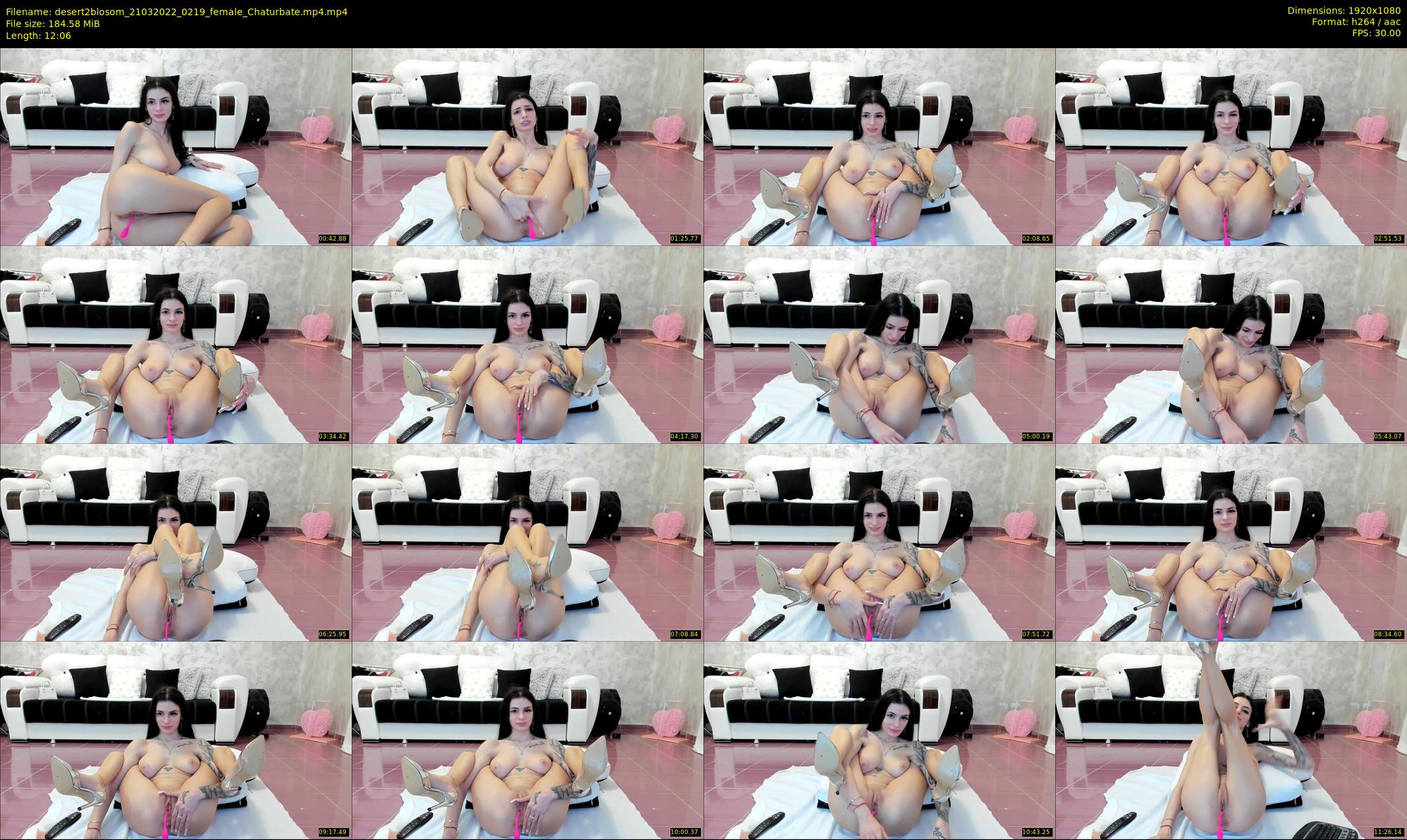 desert2blosom — 13 minute Chaturbate female cam show recording, 1080p, Mar 21, 2022