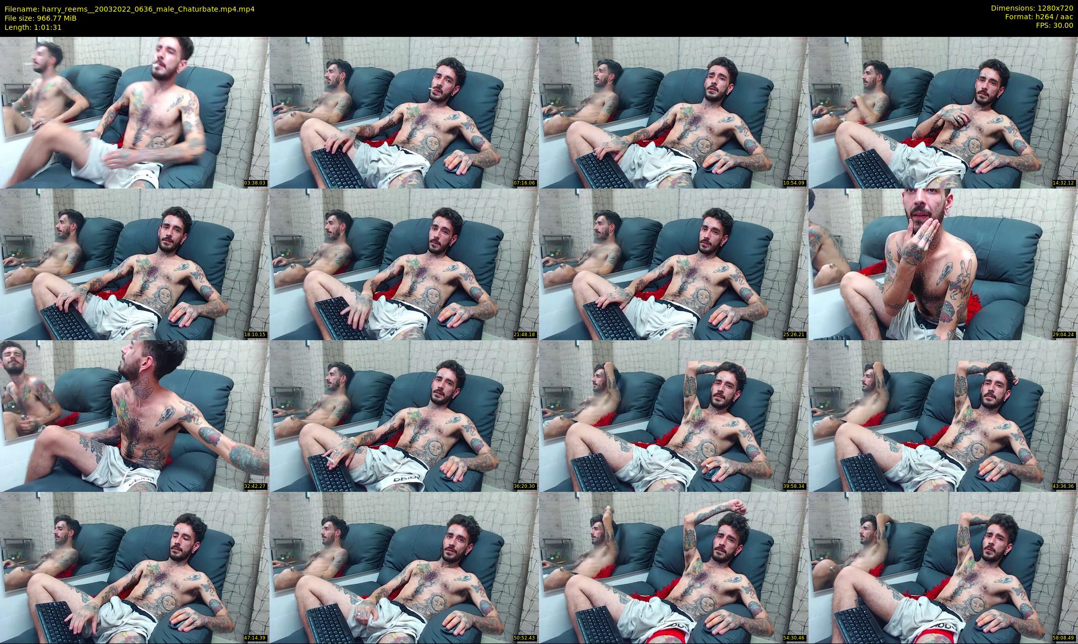 harry_reems_ — 62 minute Chaturbate male cam show recording, 720p, Mar 20, 2022