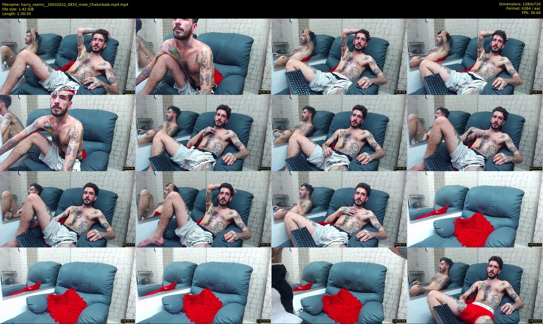 harry_reems_ — 91 minute Chaturbate male cam show recording, 720p, Mar 20, 2022
