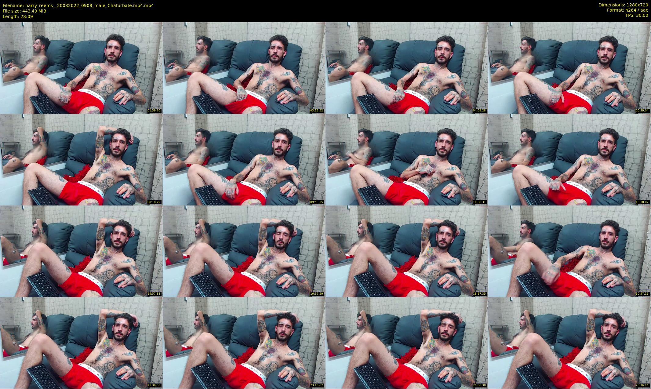 harry_reems_ — 29 minute Chaturbate male cam show recording, 720p, Mar 20, 2022