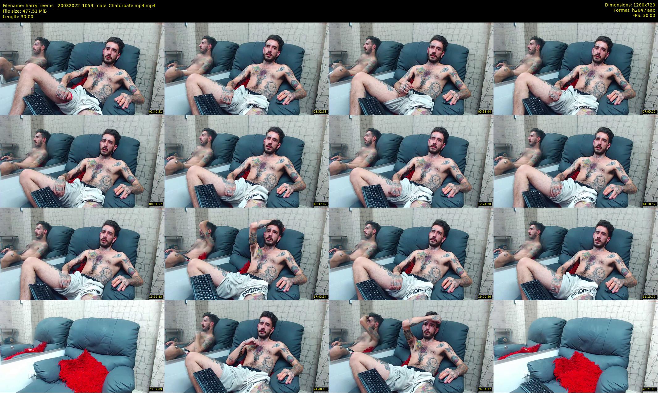 harry_reems_ — 30 minute Chaturbate male cam show recording, 720p, Mar 20, 2022