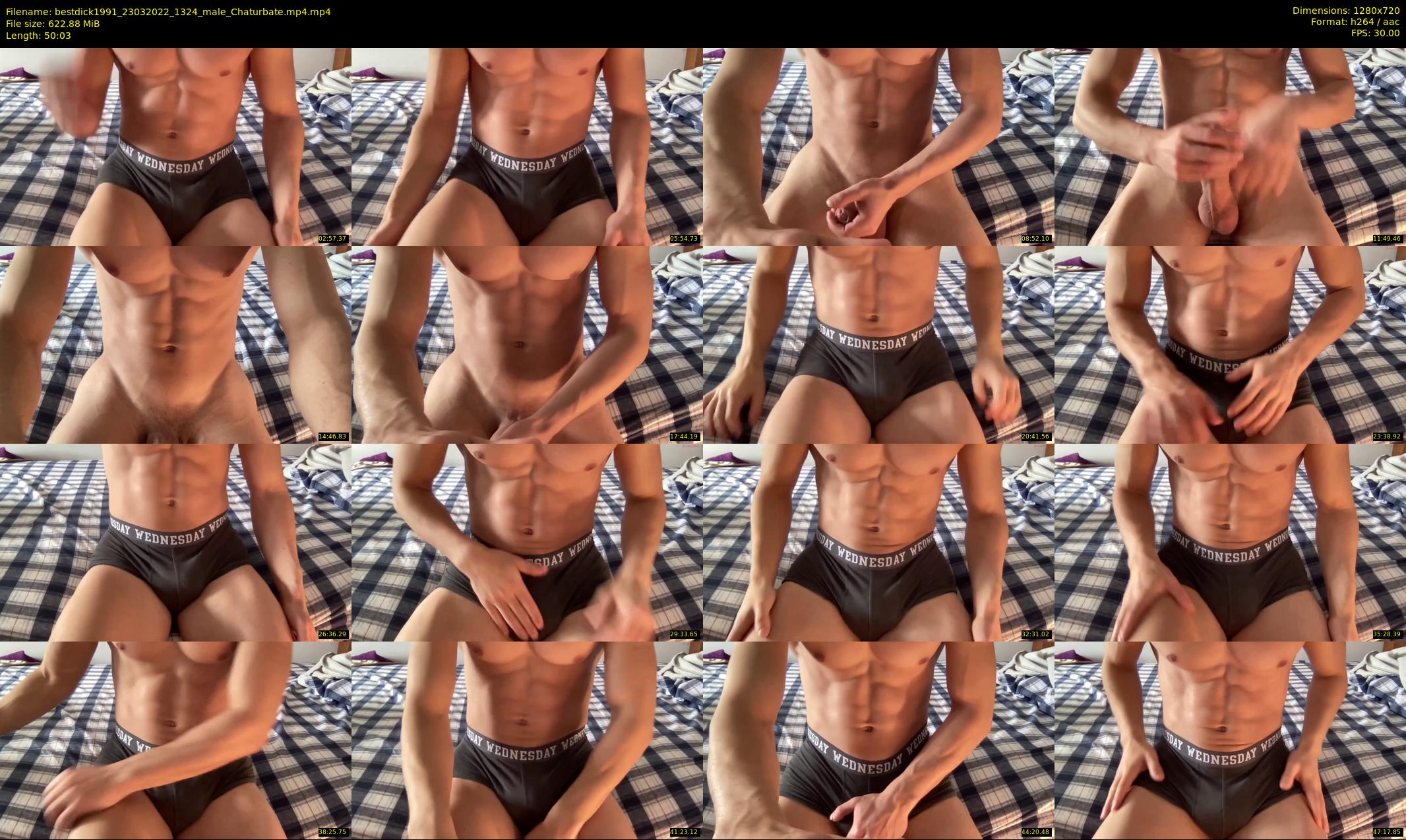 bestdick1991 — 51 minute Chaturbate male cam show recording, 720p, Mar 23, 2022