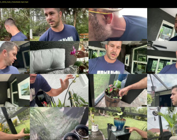 alphamasterjax — 6 minute Chaturbate male cam show recording, 720p, Mar 24, 2022