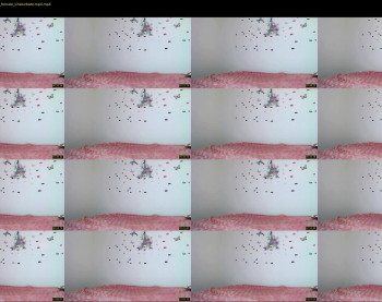kimisun — 16 minute Chaturbate female cam show recording, 720p, Mar 24, 2022