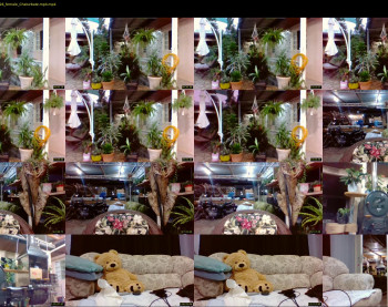 laylabrasil — 81 minute Chaturbate female cam show recording, 720p, Mar 25, 2022