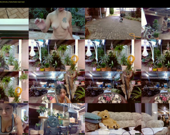 laylabrasil — 109 minute Chaturbate female cam show recording, 720p, Mar 25, 2022
