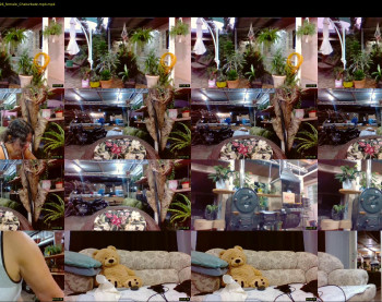 laylabrasil — 65 minute Chaturbate female cam show recording, 720p, Mar 25, 2022