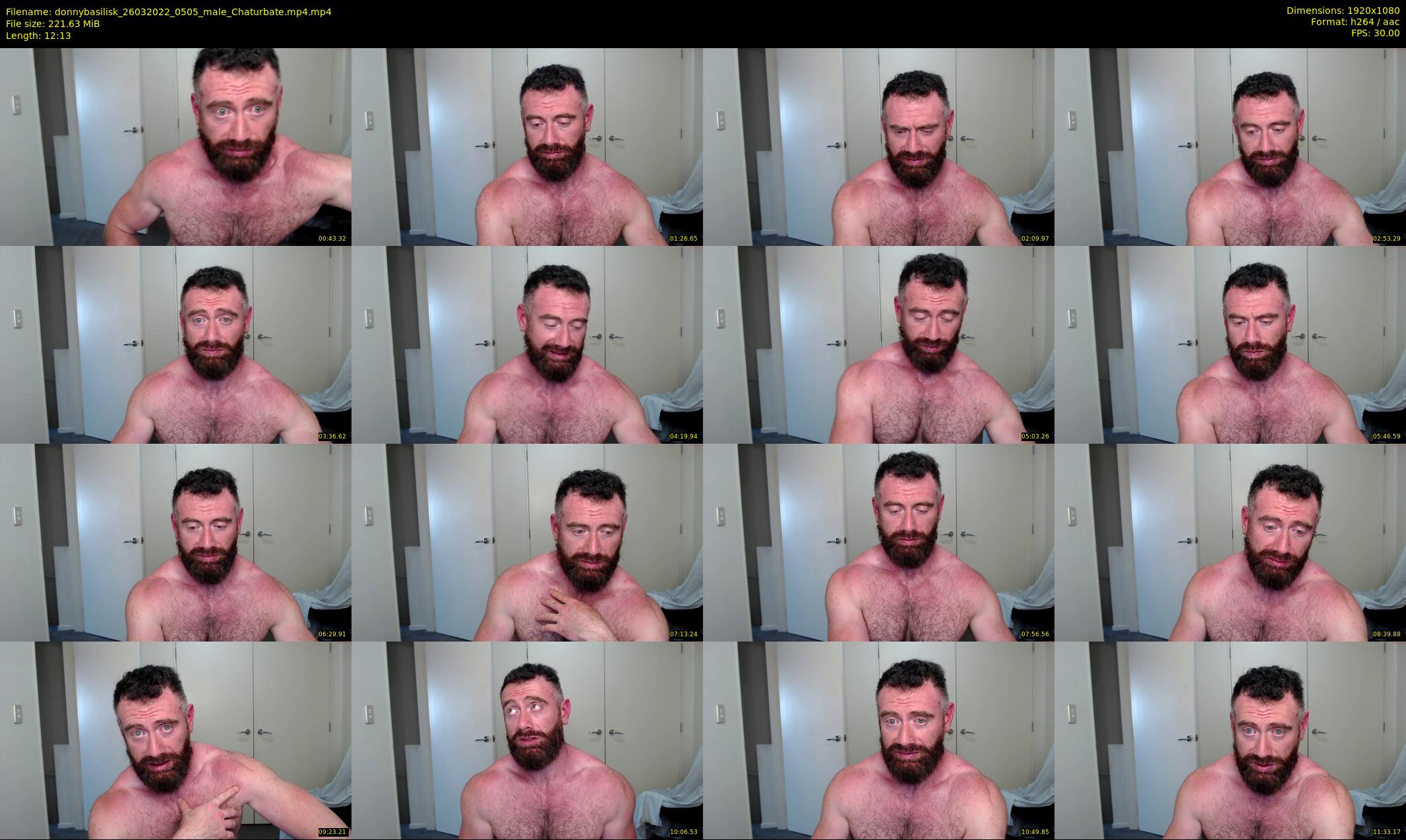 donnybasilisk — 13 minute Chaturbate male cam show recording, 1080p, Mar 26, 2022
